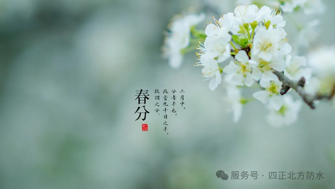 6402.webp.png